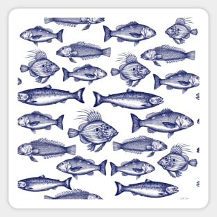 Fish of Pacifica Sticker